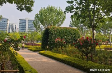 外地人没有义务让上海繁华起来，让上海繁华起来这是上海人的义务